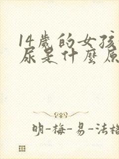 14岁的女孩漏尿是什么原因