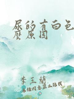 尿的有白色是什么原因