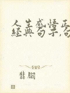 人生感悟正能量经典句子,句句精辟有哲理