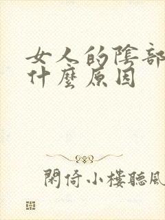 女人的阴部痒痒什么原因