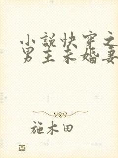 小说快穿之我是男主未婚妻txt