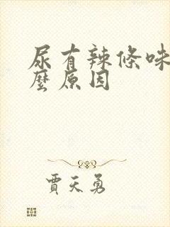 尿有辣条味是什么原因