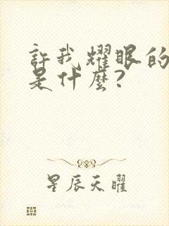 许我耀眼的结局是什么?