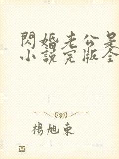 闪婚老公是豪门小说完版全章