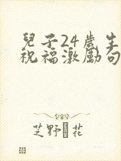 儿子24岁生日祝福激励句子