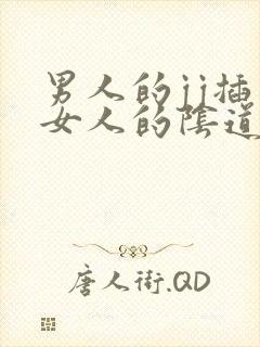 男人的jj插入女人的阴道