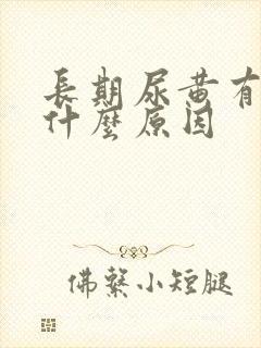 长期尿黄有沫是什么原因