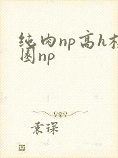 纯肉np高h校园np