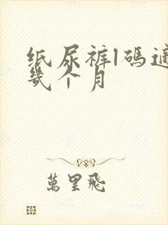 纸尿裤l码适合几个月