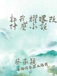 许我耀眼改编自什么小说