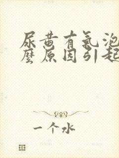 尿黄有气泡是什么原因引起的