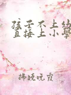 孩子不上幼儿园直接上小学可以吗