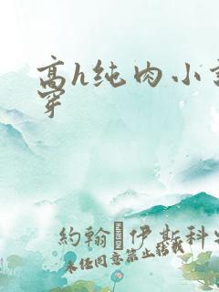 高h纯肉小说快穿