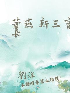 萧燕 新三宝局长