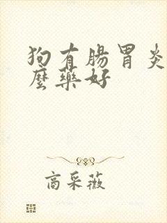 狗有肠胃炎吃什么药好