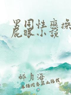 男同性恋操男人屁眼小说