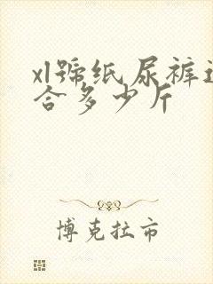 xl号纸尿裤适合多少斤