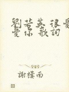 刘若英 很爱很爱你 歌词