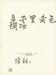 鼻子里黄色的粘稠物