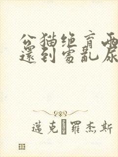 公猫绝育两年了还到处乱尿是什么原因