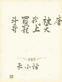 斗罗我被唐三哥哥宠上天