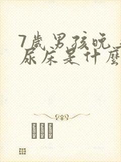 7岁男孩晚上常尿床是什么原因