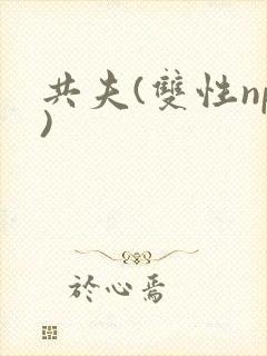 共夫(双性np)