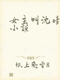 女主叫沈晴晴的小说