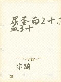 尿蛋白2十,隐血3十