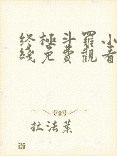 终极斗罗小说在线免费观看