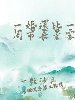 一婚还比一婚高周市长晨雾的光