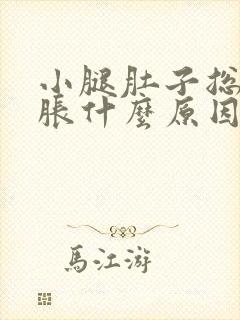 小腿肚子总是酸胀什么原因引起的