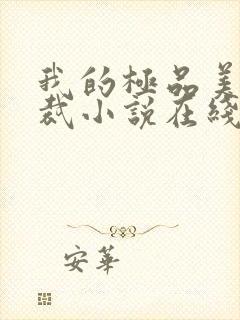 我的极品美女总裁小说在线收听