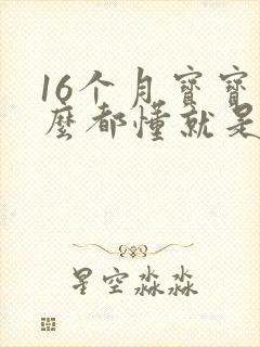 16个月宝宝什么都懂就是不说话