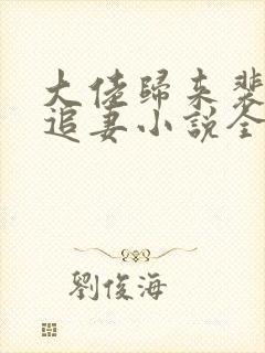 大佬归来裴律师追妻小说全文阅读