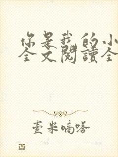 你是我的小确幸全文阅读全文