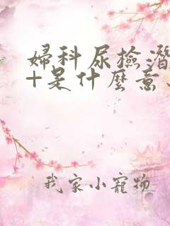 妇科尿检潜血2+是什么意思