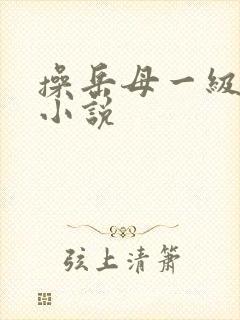 操岳母一级操的小说
