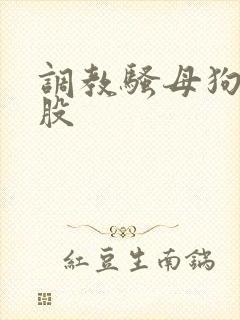 调教骚母狗打屁股