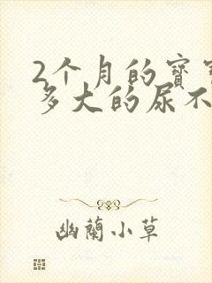 2个月的宝宝用多大的尿不湿