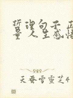 哲理句子 正能量 人生感悟 现实