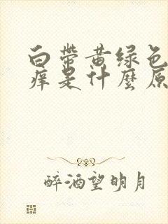 白带黄绿色阴道痒是什么原因