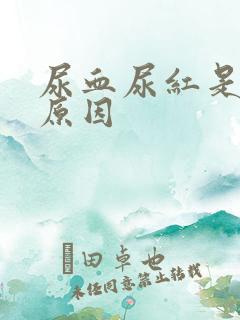 尿血尿红是什么原因