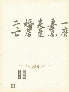 二婚夫妻一方死亡房产怎么继承