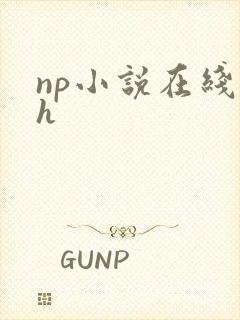 np小说在线高h