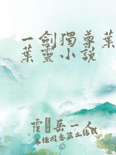 一剑独尊叶玄,叶灵小说