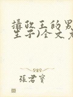 摄政王的男妃(生子)全文免费阅读