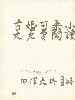 有婚可乘小说全文免费阅读