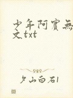少年阿宾无删全文txt
