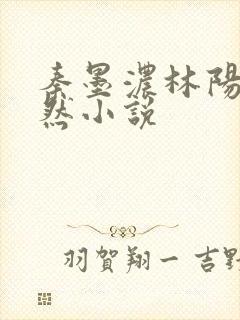 秦墨浓林阳秦嫣然小说